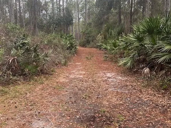 153 LAKEWAY Drive, Georgetown, FL 32139