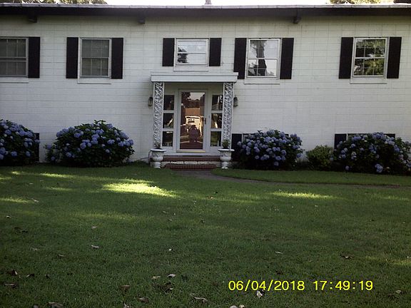 Hydrangea in front of house