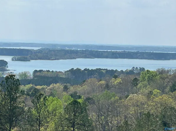 41 County Road 767, Cedar Bluff, AL 35959