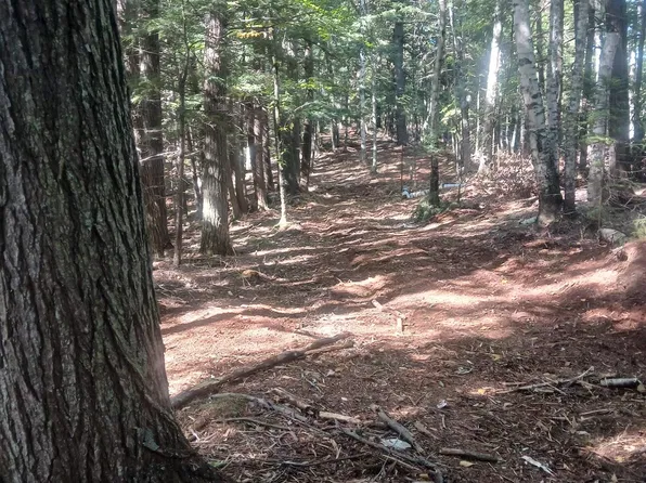 Off Dump Road Trl, Big Bay, MI 49808