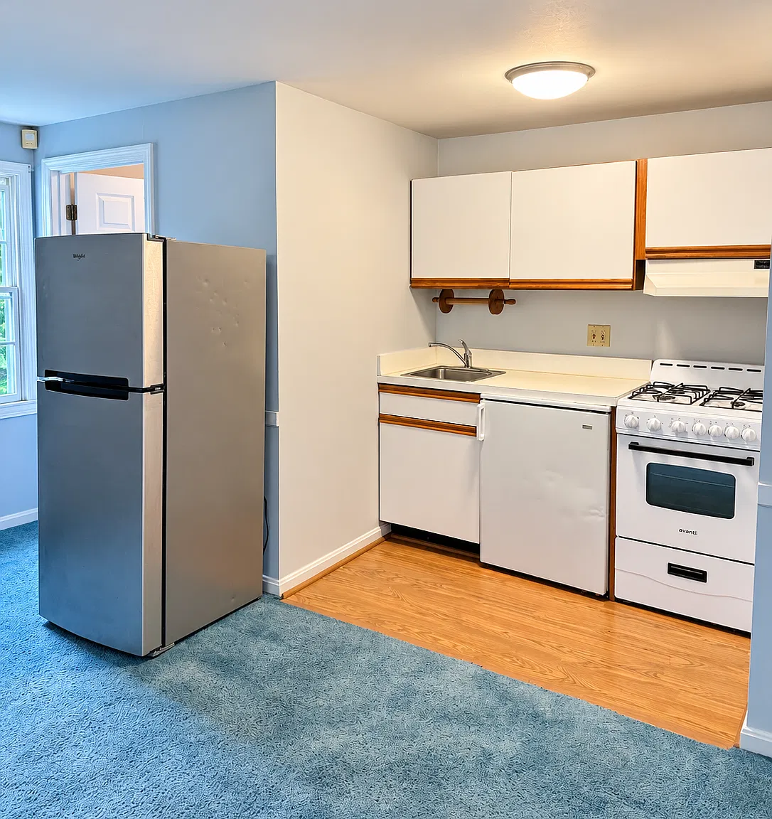 Studio, 450 sqft, $1,400 — Photo 4