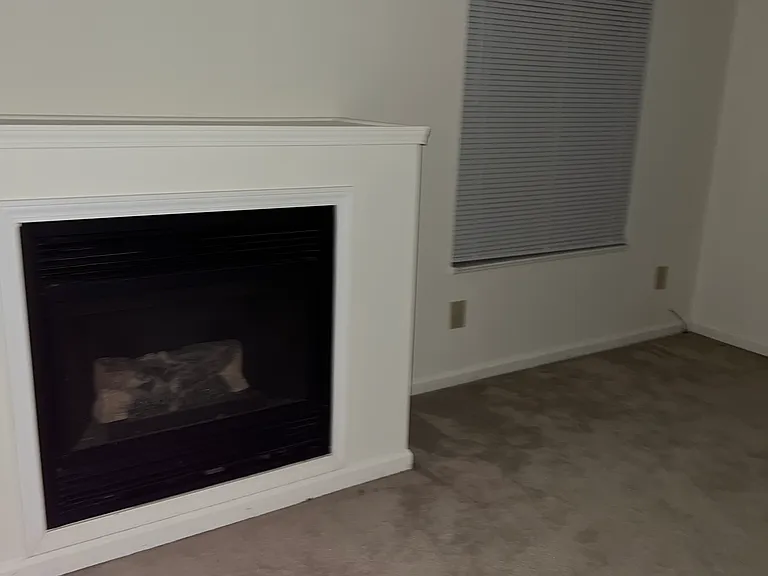 4617 Falcon Run Way — Photo 5