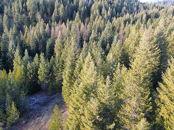 2nd image of L6-B1 Kelso Woods Dr