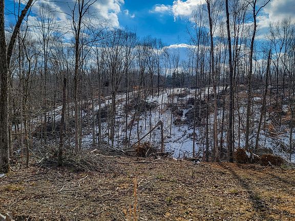 4th image of 0 Hutchins Bend Rd Lot 1