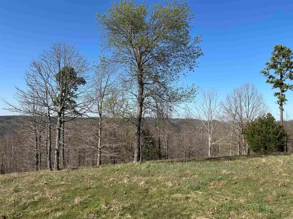 TRACT Three The Blessing 3.32 Acres, Mountain View, AR 72560