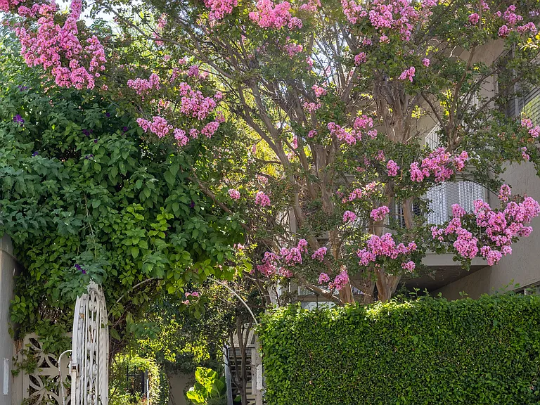 Garden Glen Apartments — Photo 9