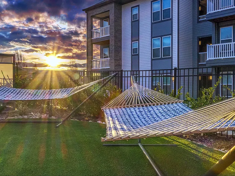 Relaxing Hammock Area