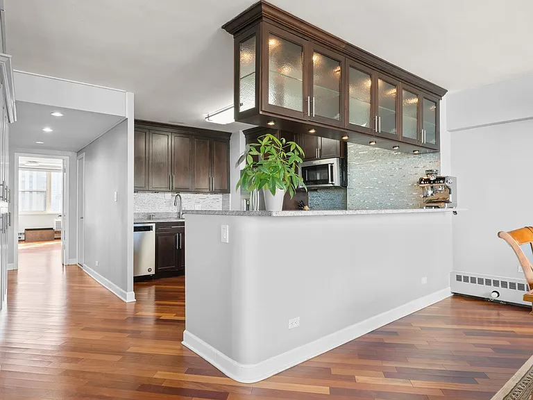 1150 N Lake Shore Dr #22GH — Photo 7