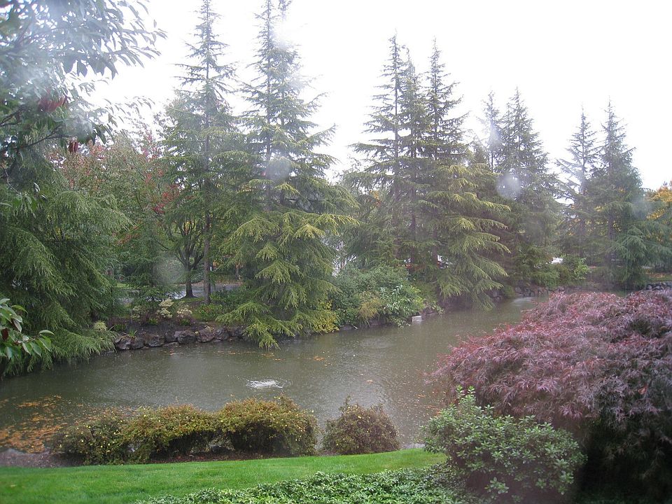 Pond beside house from kitchen window provides a scenic buffer for privacy