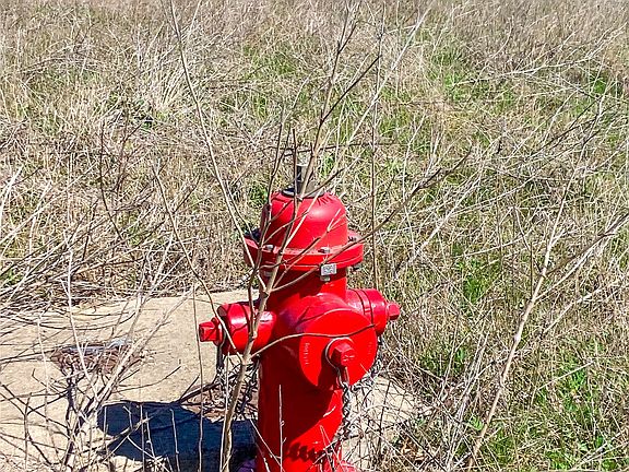 5th image of 1700 Don Lee Rd