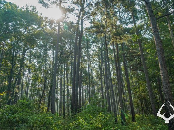 Forest Service Rd #511, Kennard, TX 75847