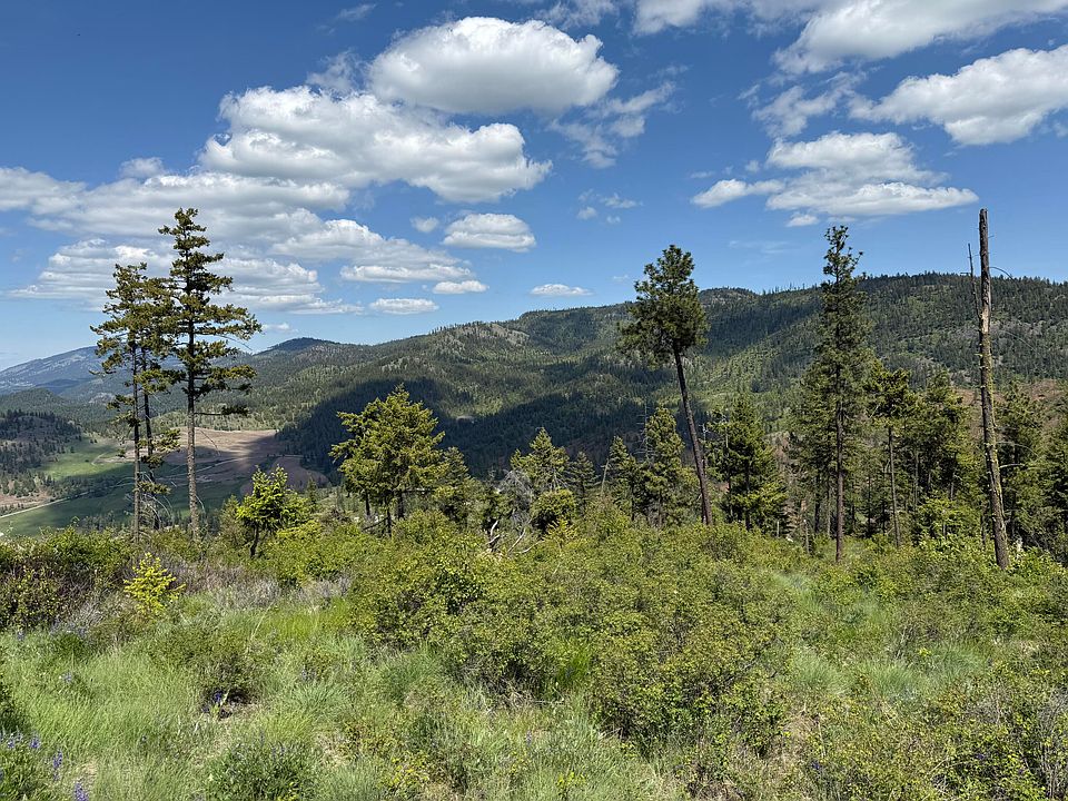 25th image of 3774C Daisy Mine Rd