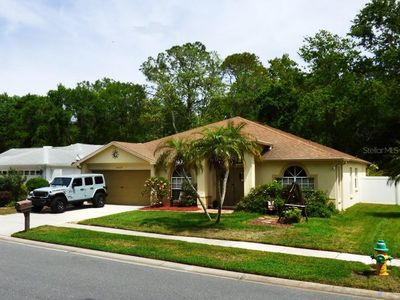 24227 Painter Dr, Land O Lakes, FL, 34639
