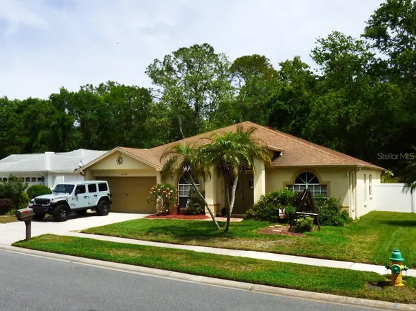 24227 PAINTER DRIVE, LAND O LAKES, FL 34639