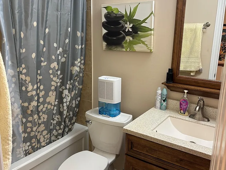 6 Joanna Cres — Photo 13