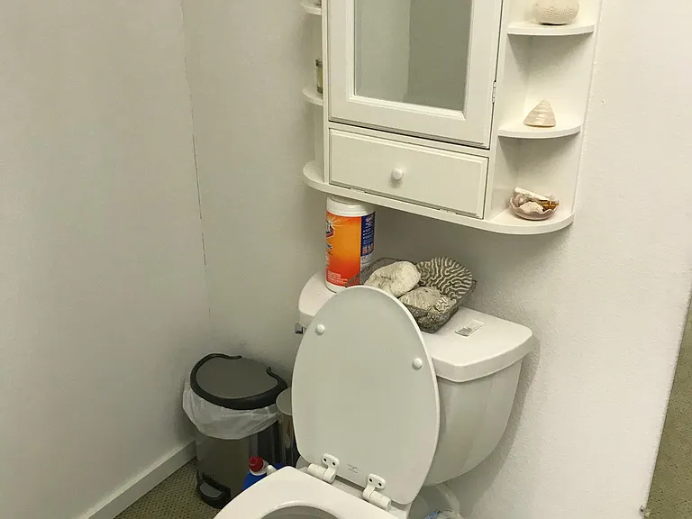Private toilet