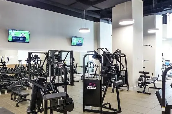 Rented by Bold New York | media 5