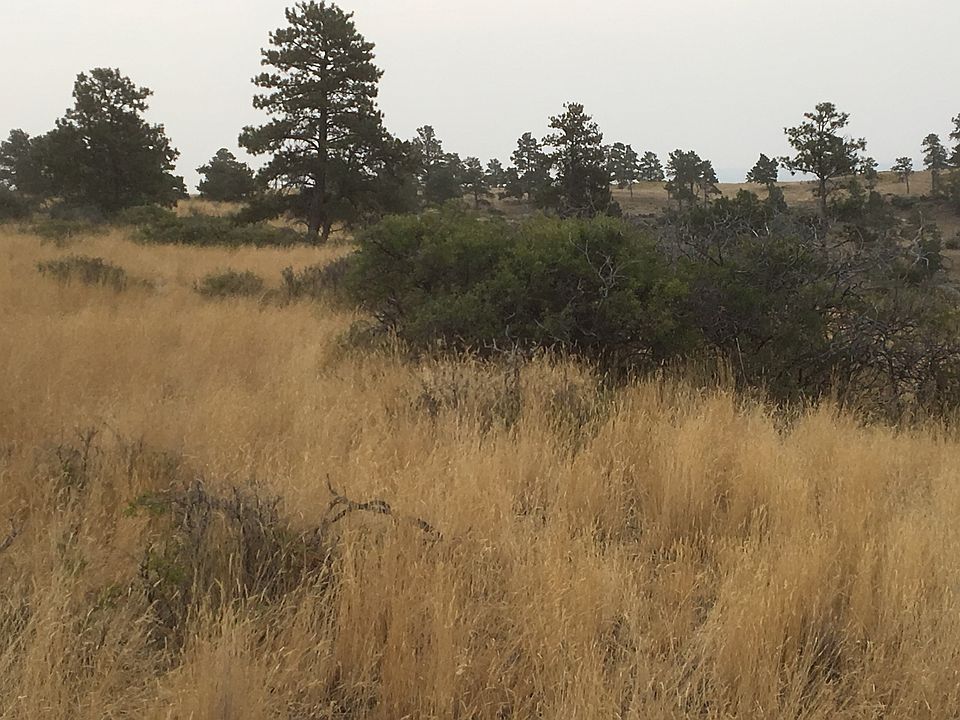 2nd image of CA Road