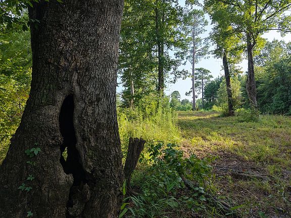 3rd image of 0 County Road 1778