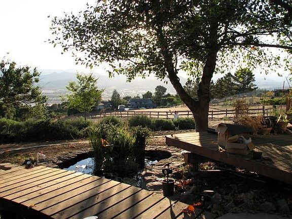 BackYard Pond/Bridge