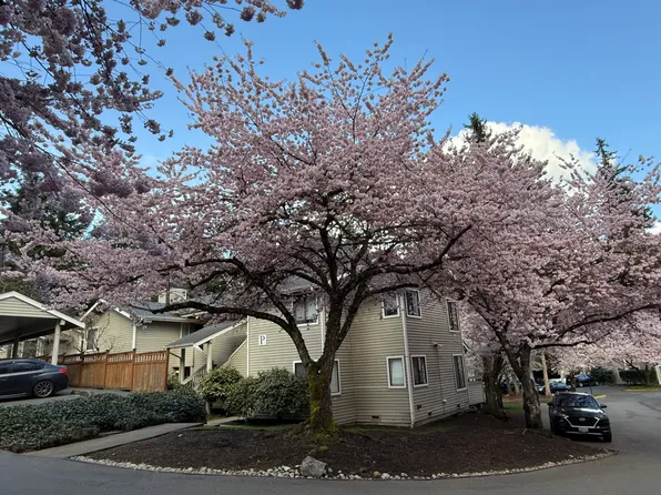 9009 Avondale Rd NE APT P232, Redmond, WA 98052
