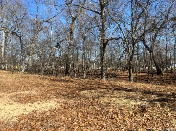 0 White Sands Dr, Pigeon, MI 48755