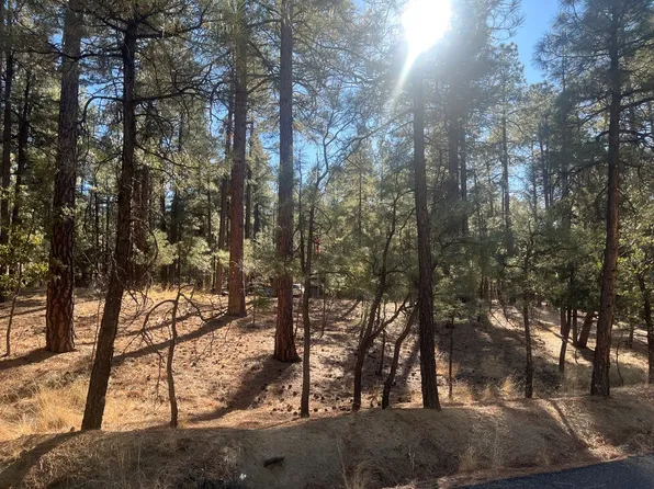 1149 E Friendly Pines Rd, Prescott, AZ 86303