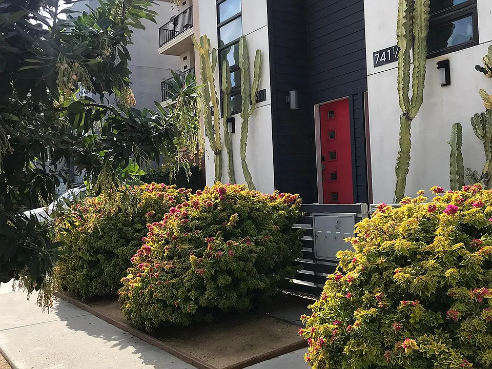 Sidewalk View
