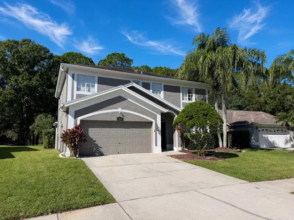 13039 Royal George Ave, Odessa, FL 33556