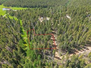 7 S Wallace Avenue, Conifer, CO 80433