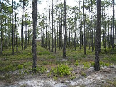 1st image of 3996 Baynard Court LOT Reserve section 5, h