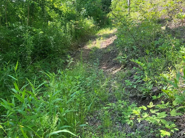 101 Tatertown Rd, Newland, NC 28657