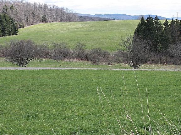Hayfields & Woodlot