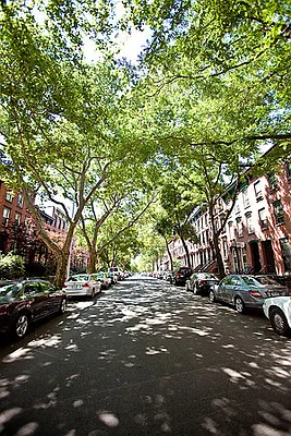 Sold by Arena Real Estate | media 19