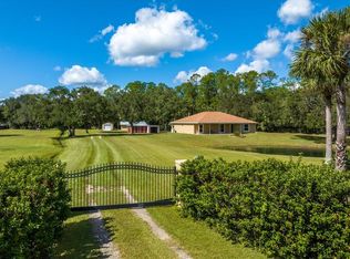 336 Elizabeth Ln, Osteen, FL 32764