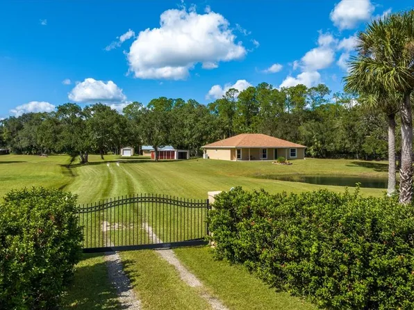 336 Elizabeth Ln, Osteen, FL 32764