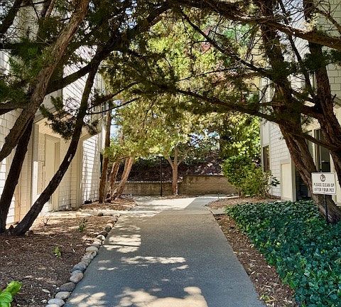 5th image of 1407 Marchbanks Dr