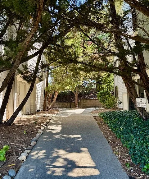 1407 Marchbanks Dr — Photo 1