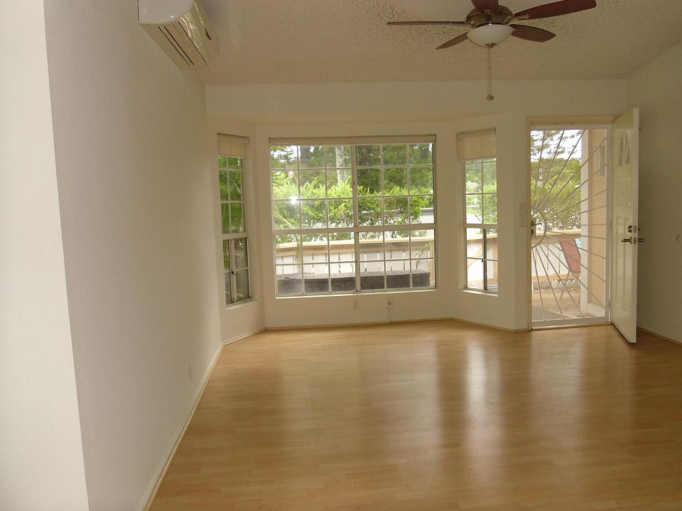 HIgh ceilings, brand new flooring, large windows, freshly painted