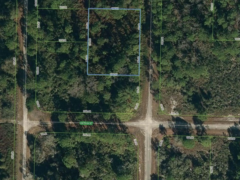1st image of 1126 Iguana Street