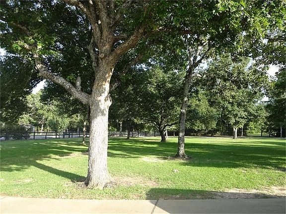 Enjoy a nice glass of lemonade in this abundantly shaded yard.