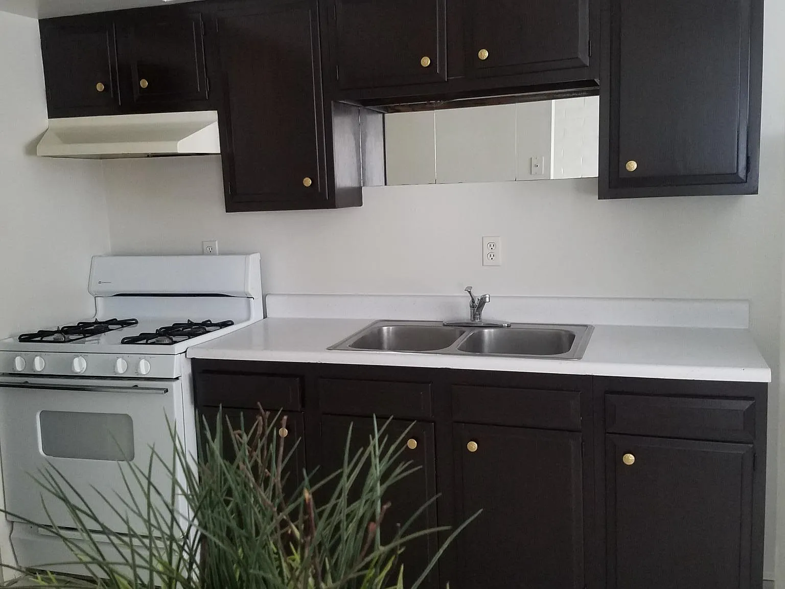 1 bed, $950 — Photo 2