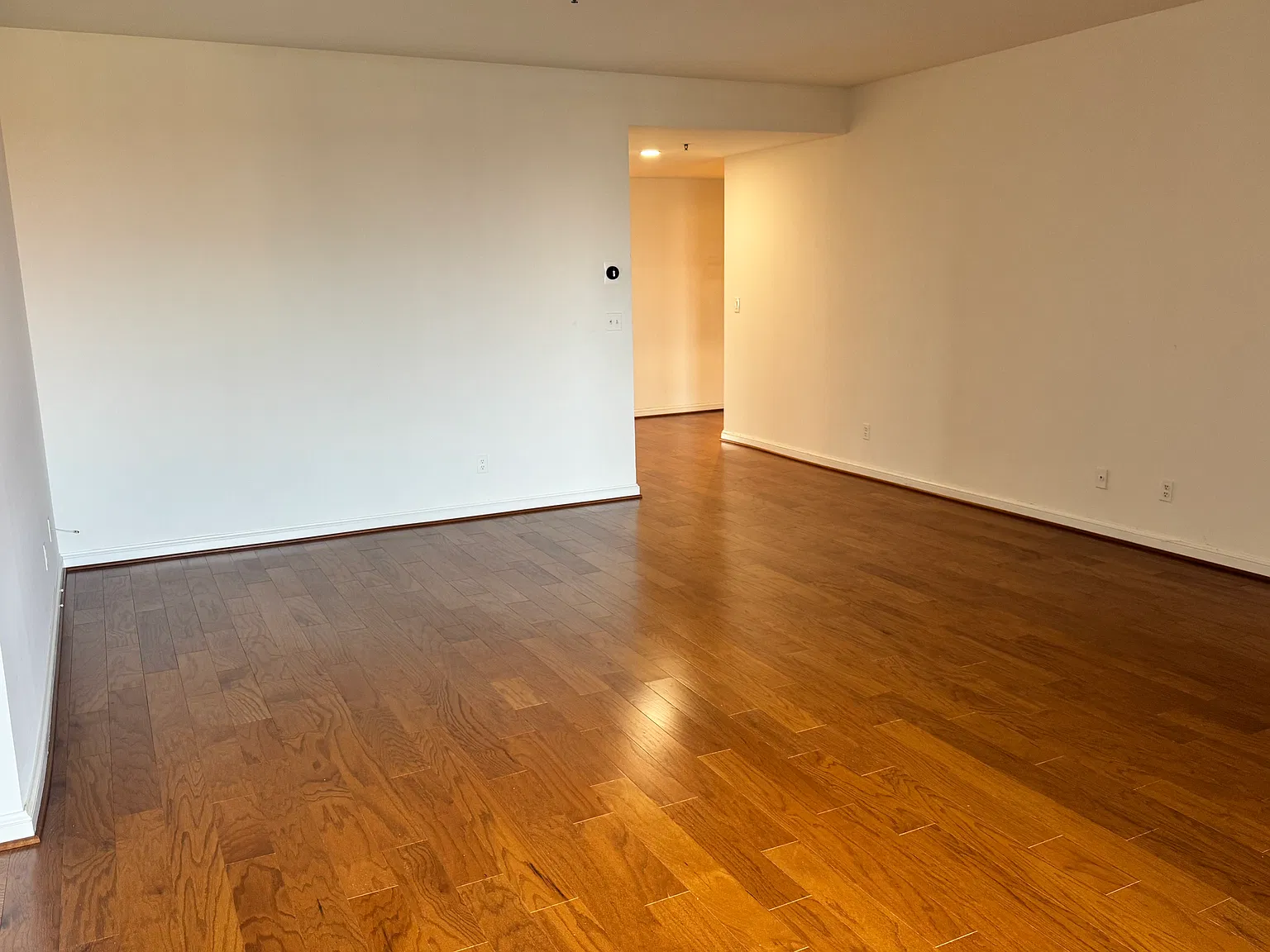 10 E Lee St — Photo 4