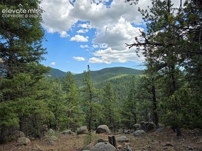 222 Blue Spruce Rd, Divide, CO, 80814
