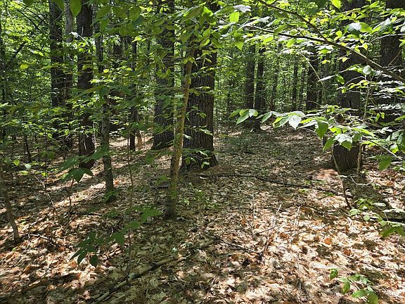 5th image of Lot 28 Davis Hill Road #28