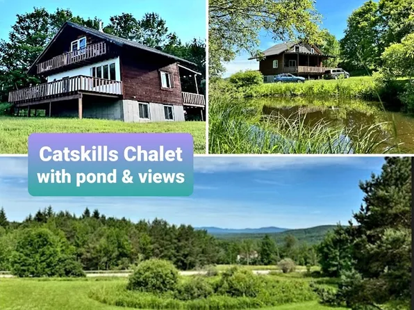 687 State Route 10, Jefferson, NY 12093