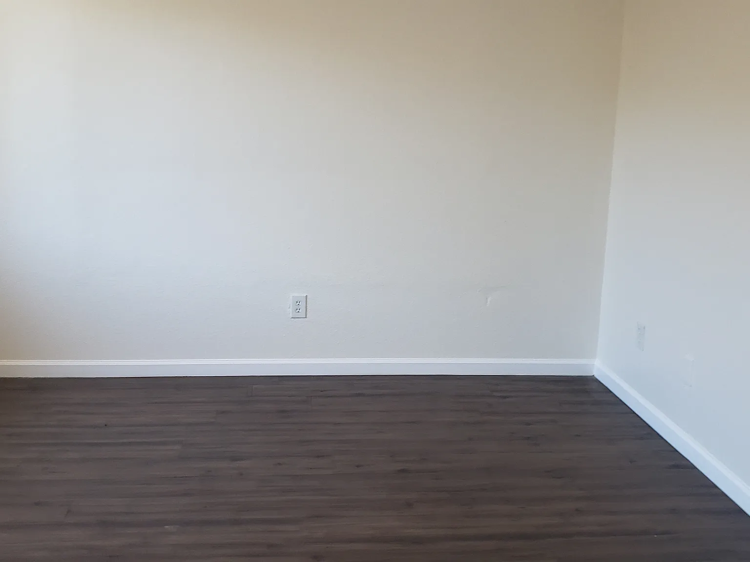 2 bed, 900 sqft, $1,250 — Photo 3
