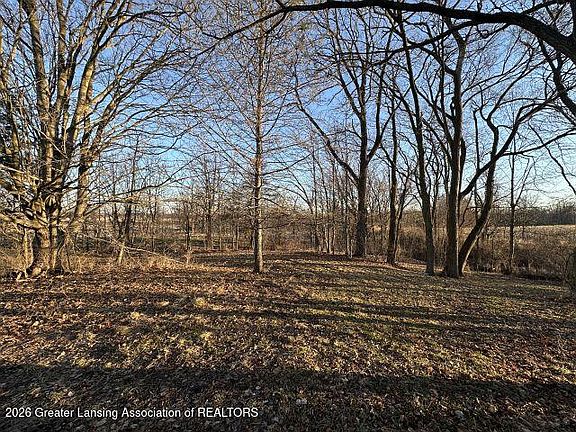 5th image of 8733 S Cochran Rd