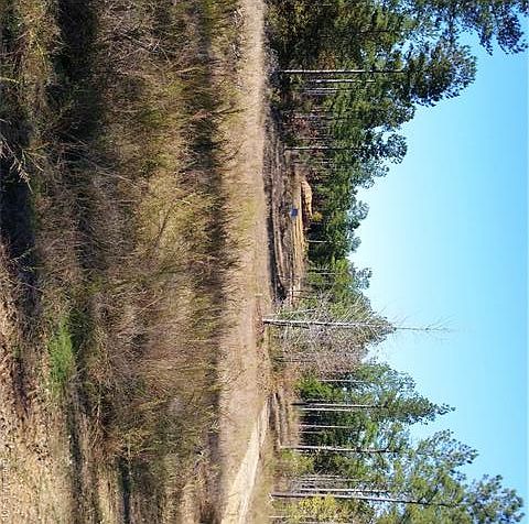 1st image of 949 Maggie Harris Rd