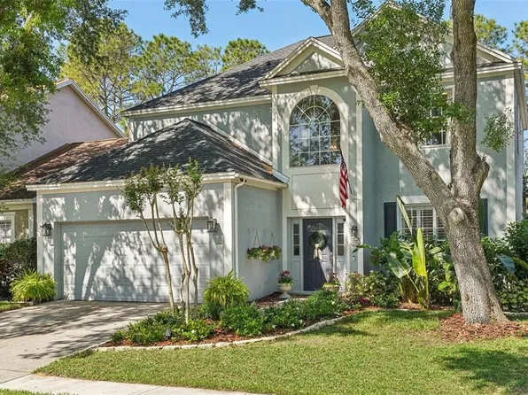 17712 Long Ridge Rd, Tampa, FL 33647